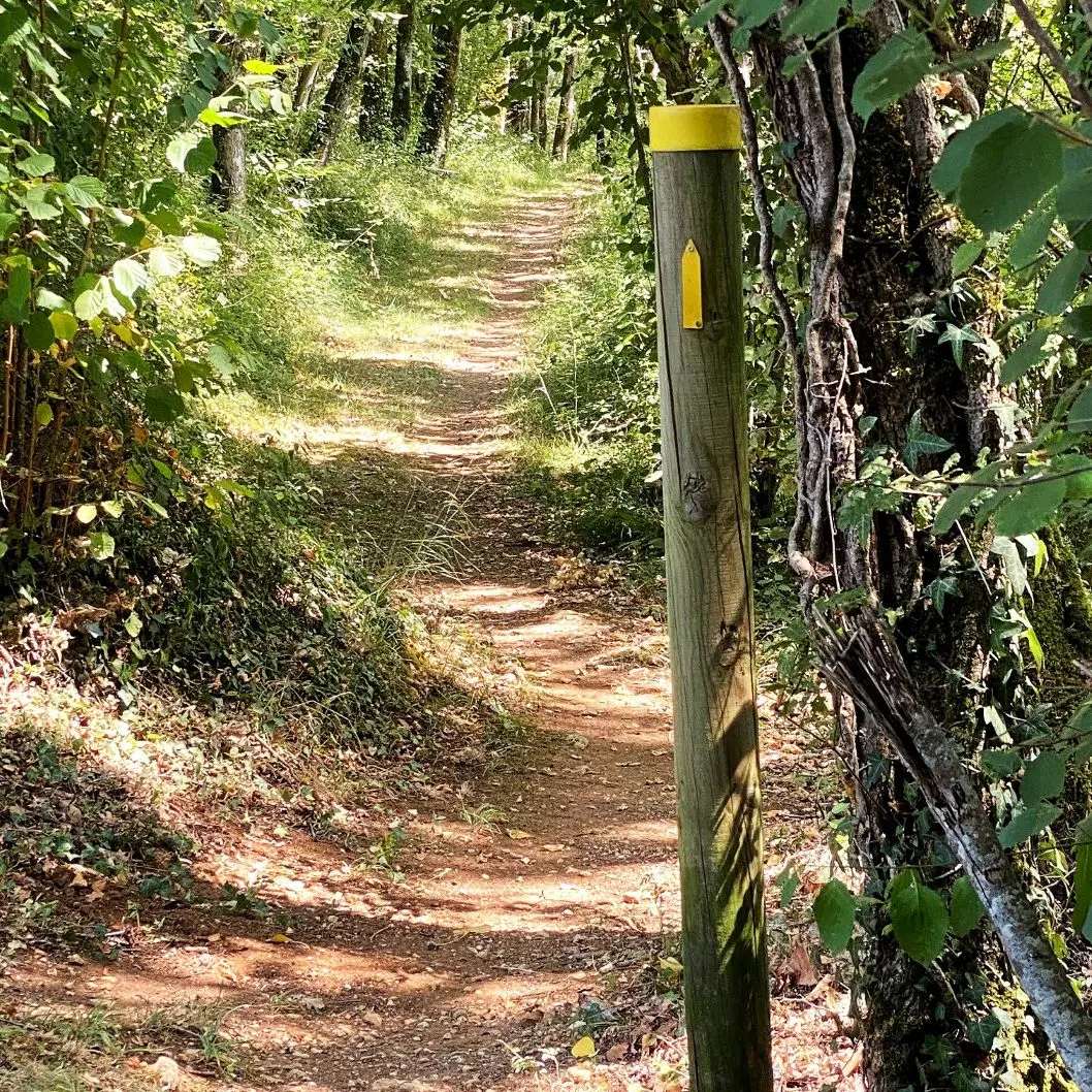 SAINT ALVERE-Boucle de la Louyre-Chemin-Poteau