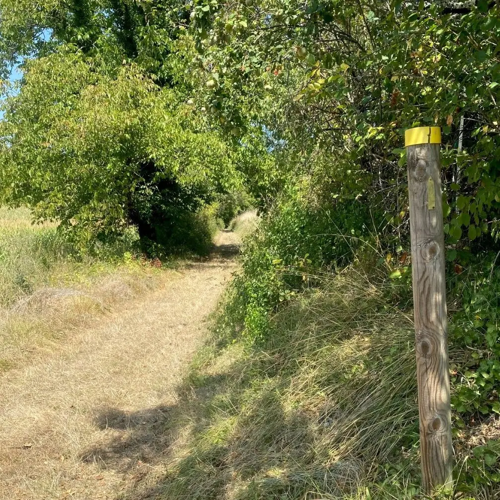 SAINT LAURENT DES BATONS-Boucle de Verdançon-Chemin-Poteau