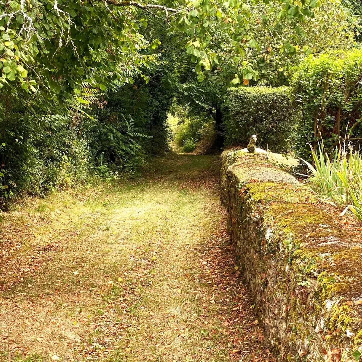 VEYRINES-DE-VERGT-Boucle du 45ème parallèle-Chemin