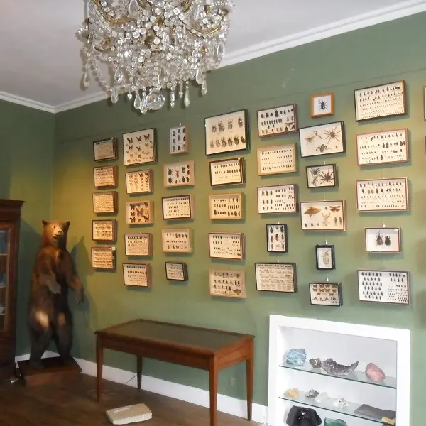 chateau_de_sauveboeuf_cabinet_de_curiosites_aubas©château_de_sauveboeuf