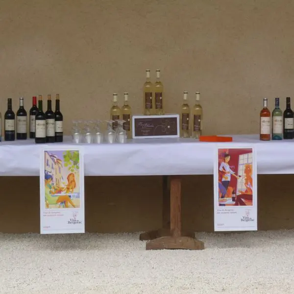 chateau-des-masseries (4)