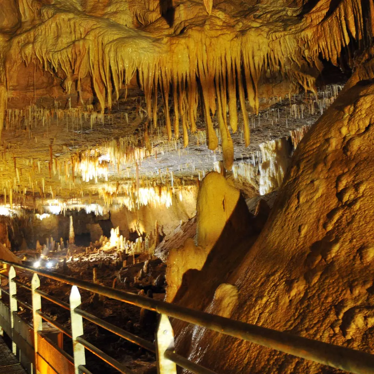 Grotte de Tourtoirac