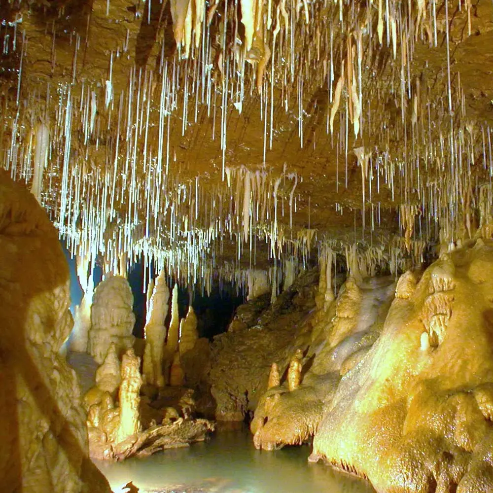 Grotte de Tourtoirac