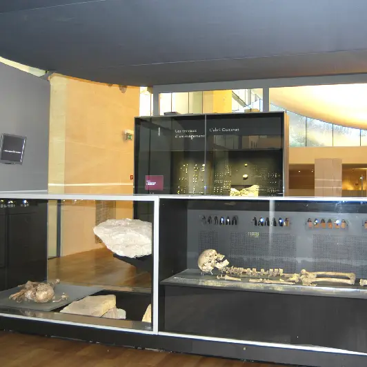 museenational de prehistoire5_rmn_MNPLesEyzies-Distr.RMN.Ph.Jugie