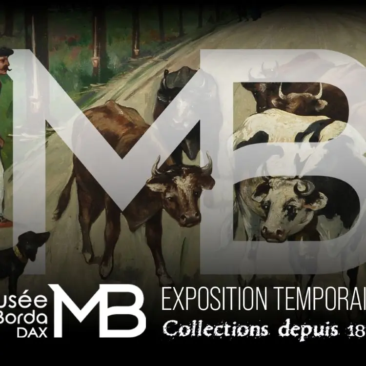 Musée de Borda