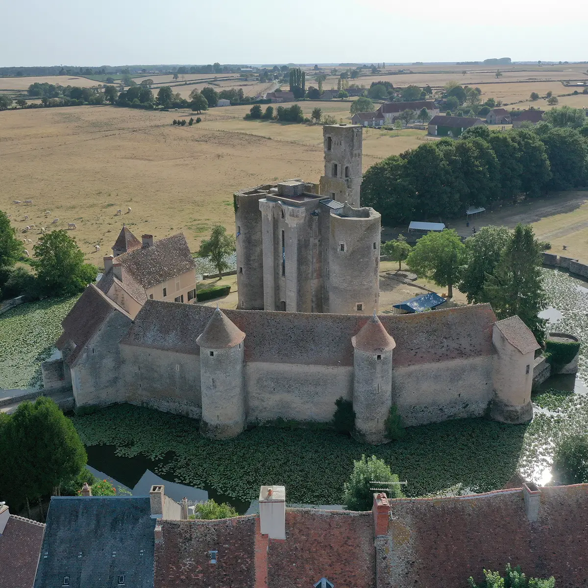 CHATEAUDESAGONNE10