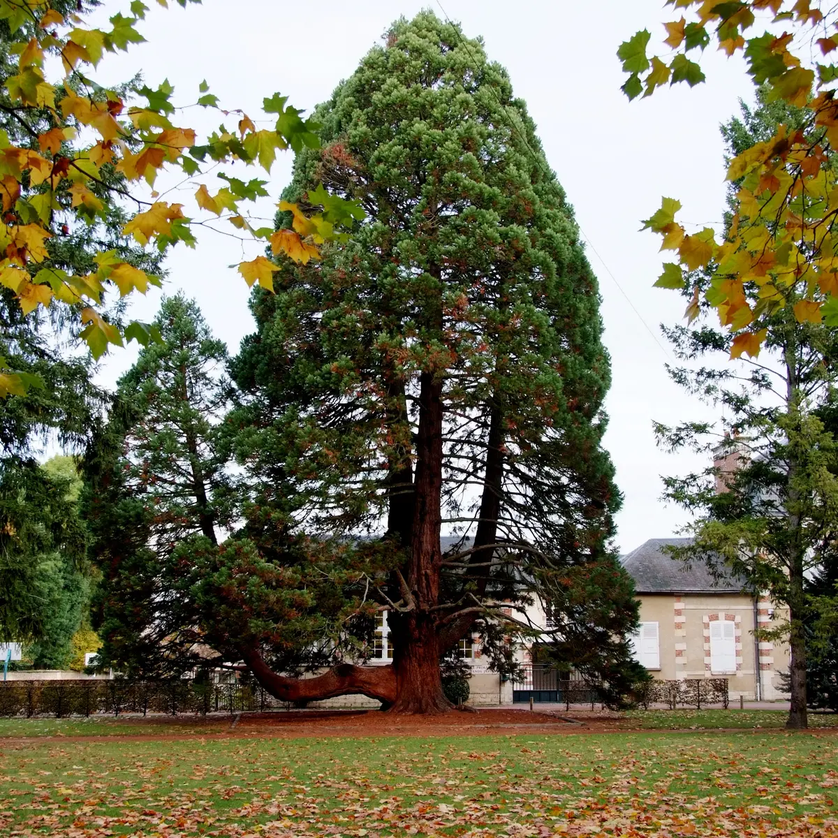 Grands Jardins