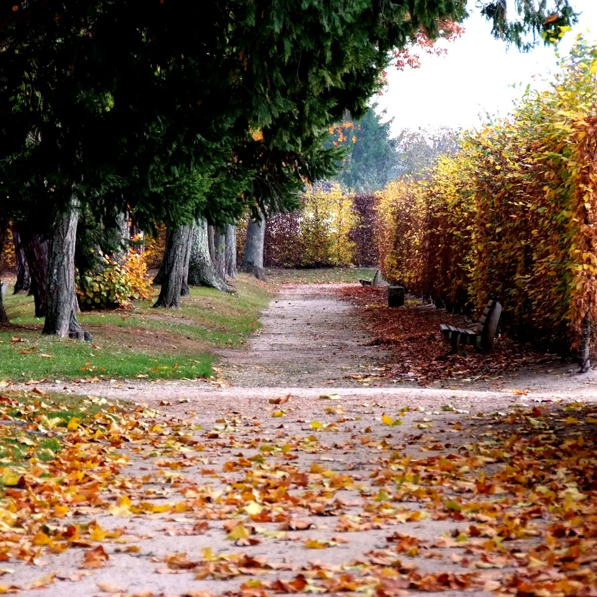 Grands Jardins