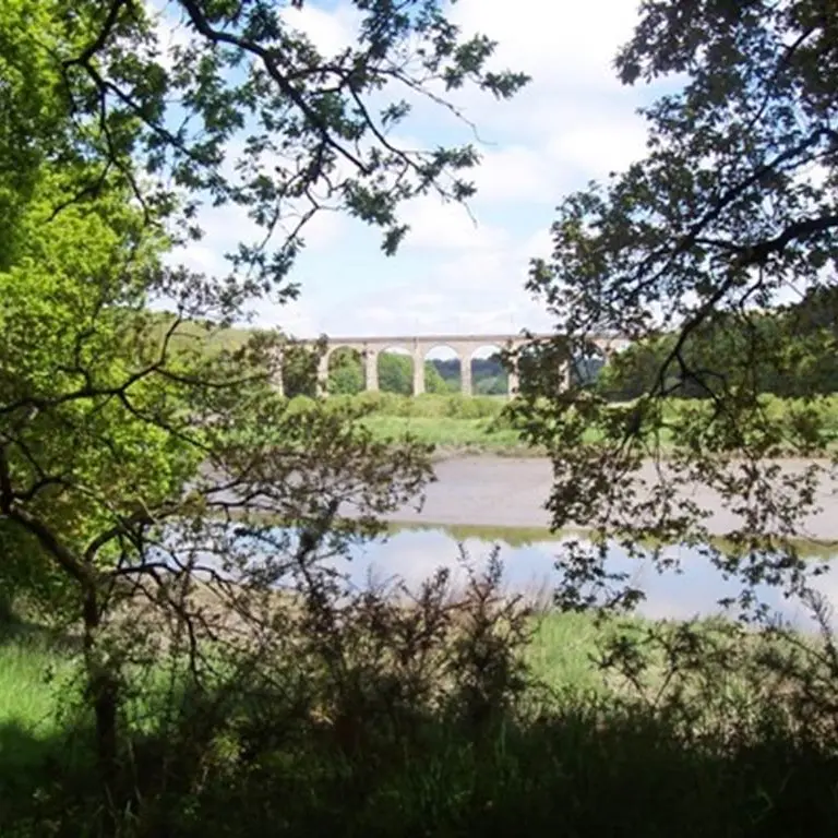 La Petite Forêt - Auray - Morbihan Bretagne Sud