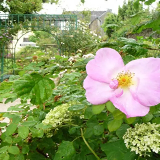 Grand-Champ-Morbihan-Bretagne-Sud