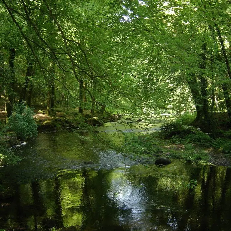 Vallée du Scorff - Pays du roi Morvan - Morbihan Bretagne Sud