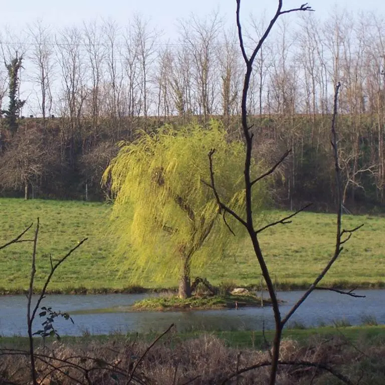 Bois de Kermen - Lanester - Morbihan Bretagne sud