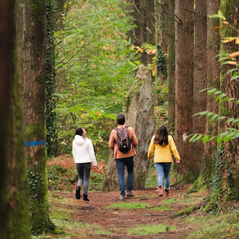693 Baie de Quiberon - 2021 - Thibault Poriel - HD_828x1242