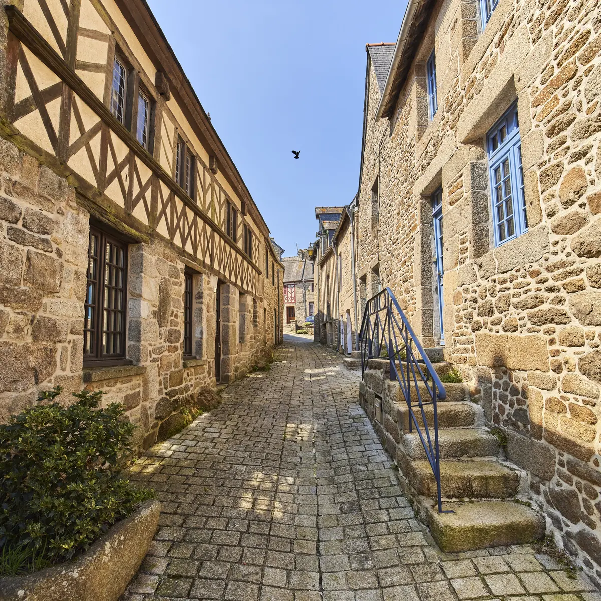 7.Moncontour21@aLamoureux_D6A9990_valide2031