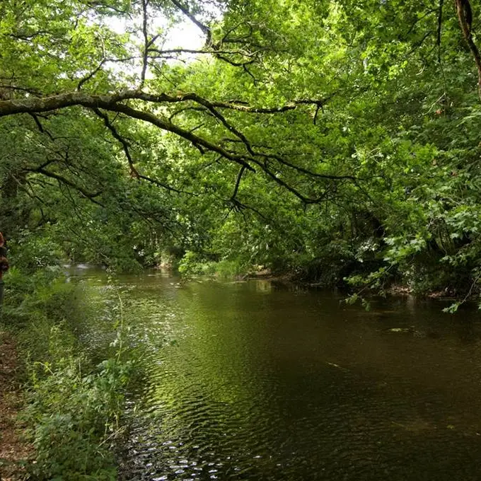 Rivière du loch morbihan bretagne sud