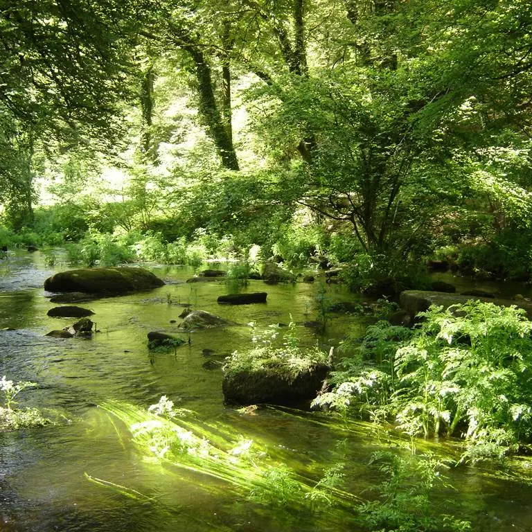 Vallée du Scorff - Pays du roi Morvan - Morbihan Bretagne Sud