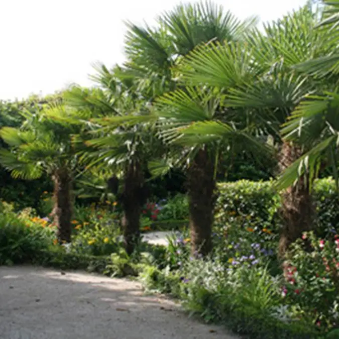 Grand-Champ-Morbihan-Bretagne-Sud