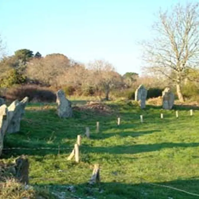 1-Megalithes-de-Kergonan-Ile-aux-Moines-Morbihan-Bretagne-Sud