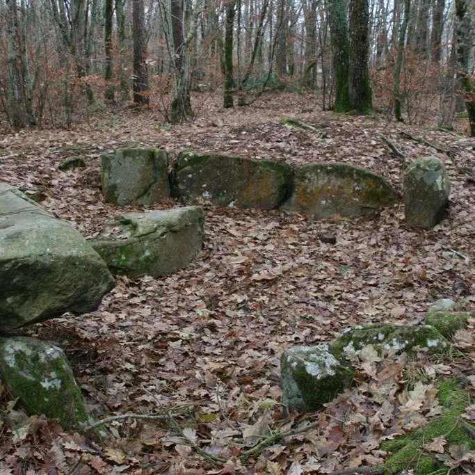 Bois de Kerzuc - Dolmen - CRACH - Morbihan Bretagne Sud
