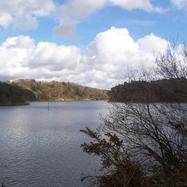 Bois de Kermen - Lanester - Morbihan Bretagne sud
