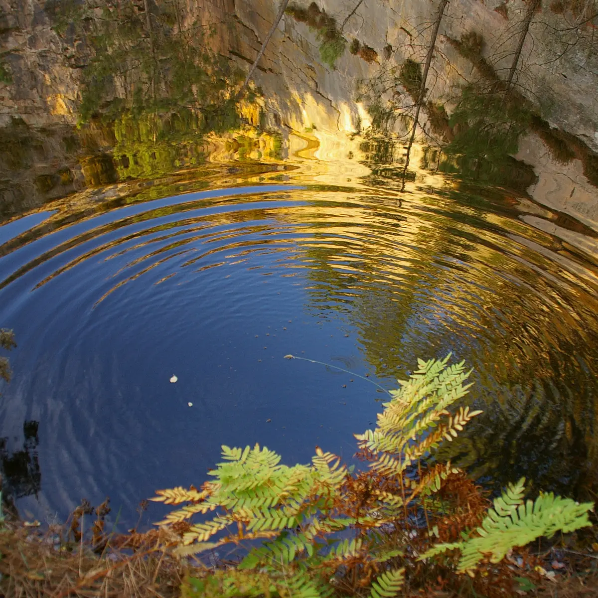 © jo rouxel 2008 (2)