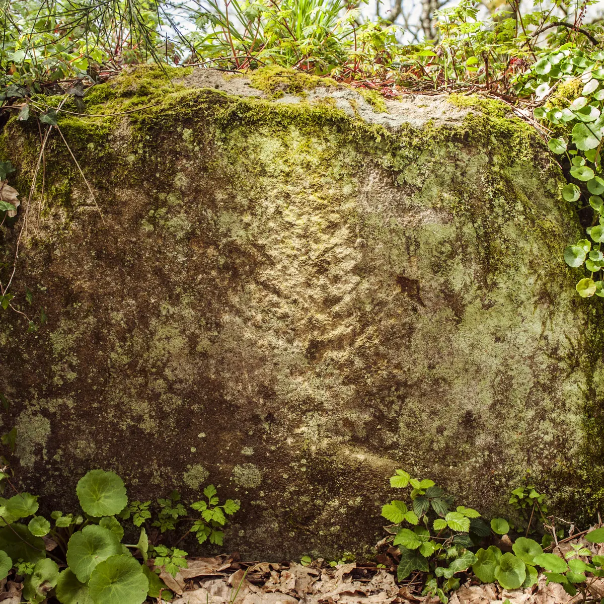 _DSC3448 copie.jpg_compressed