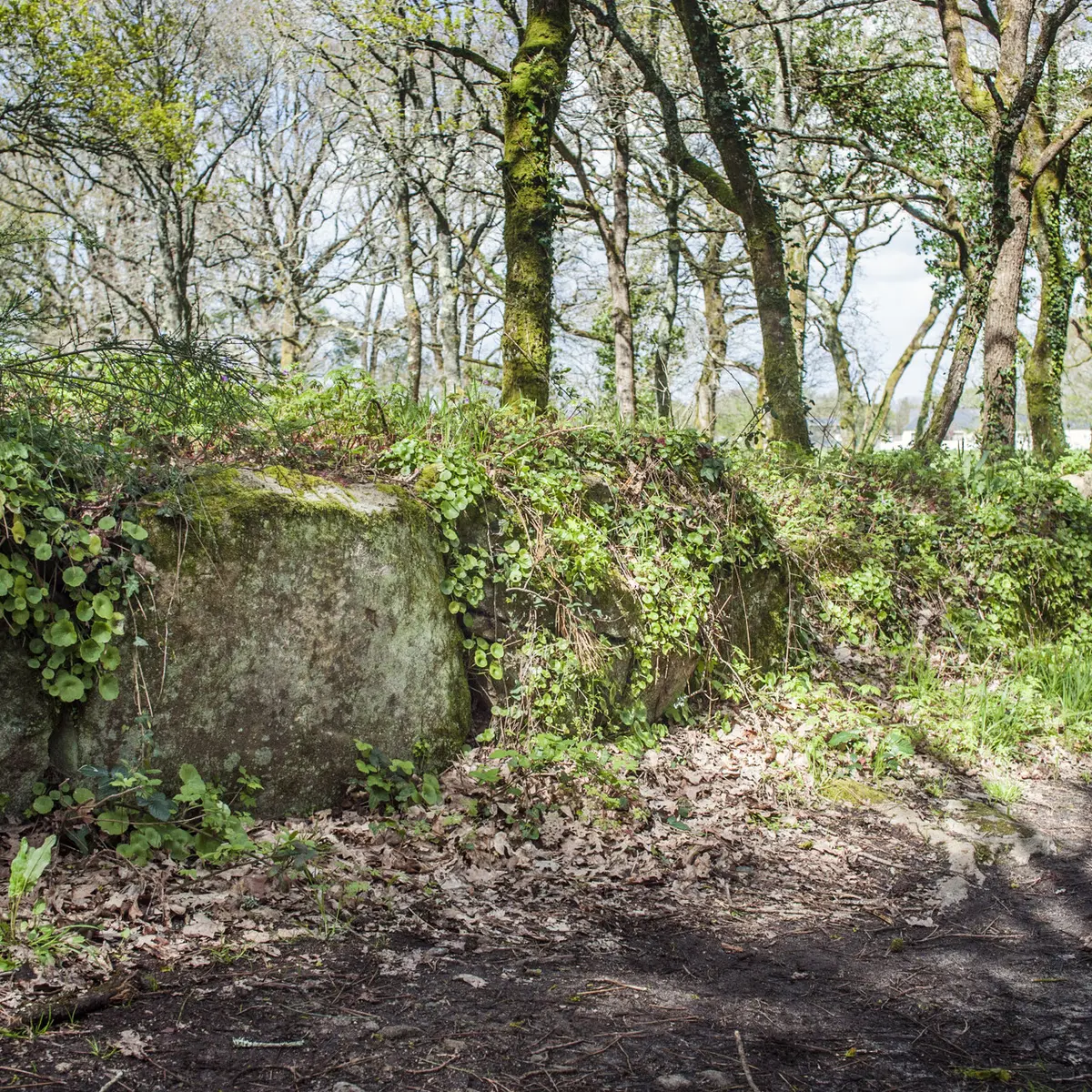 _DSC3456 copie.jpg_compressed