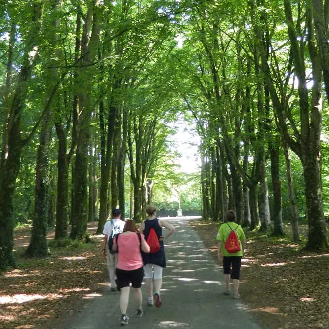 ©OT-Pontivy-Communauté_Circuit-Vallées-Plurit-et-Resto-(4)