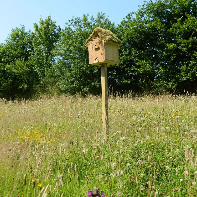 ©OT-Pontivy-Communauté_Circuit-Vallées-Plurit-et-Resto-(5)
