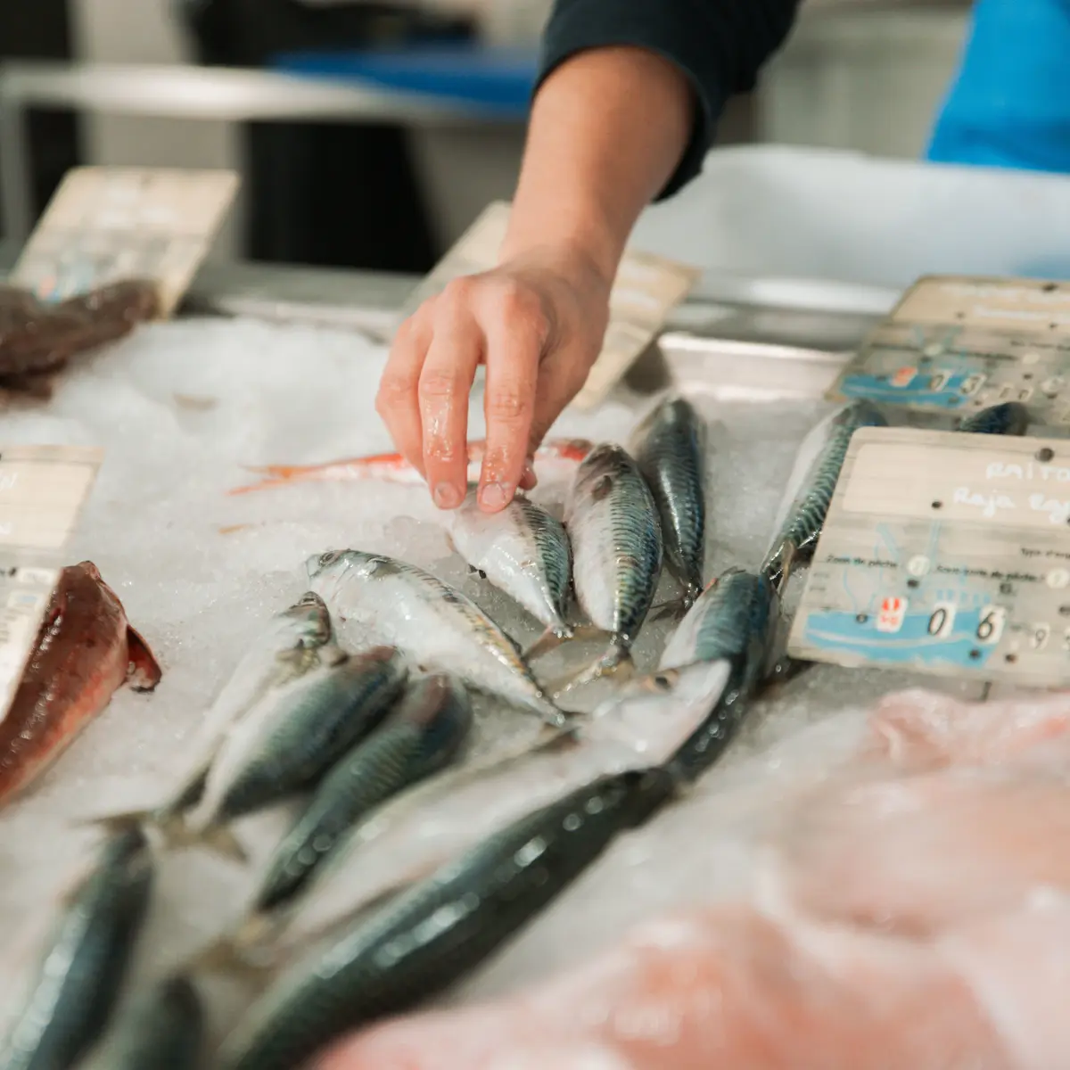 Poissonnerie Libouban