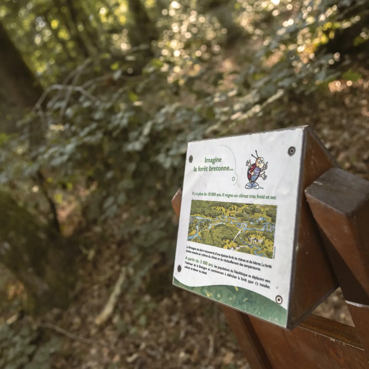 VitréCommunauté-ADT35-MathieuleGall (102)