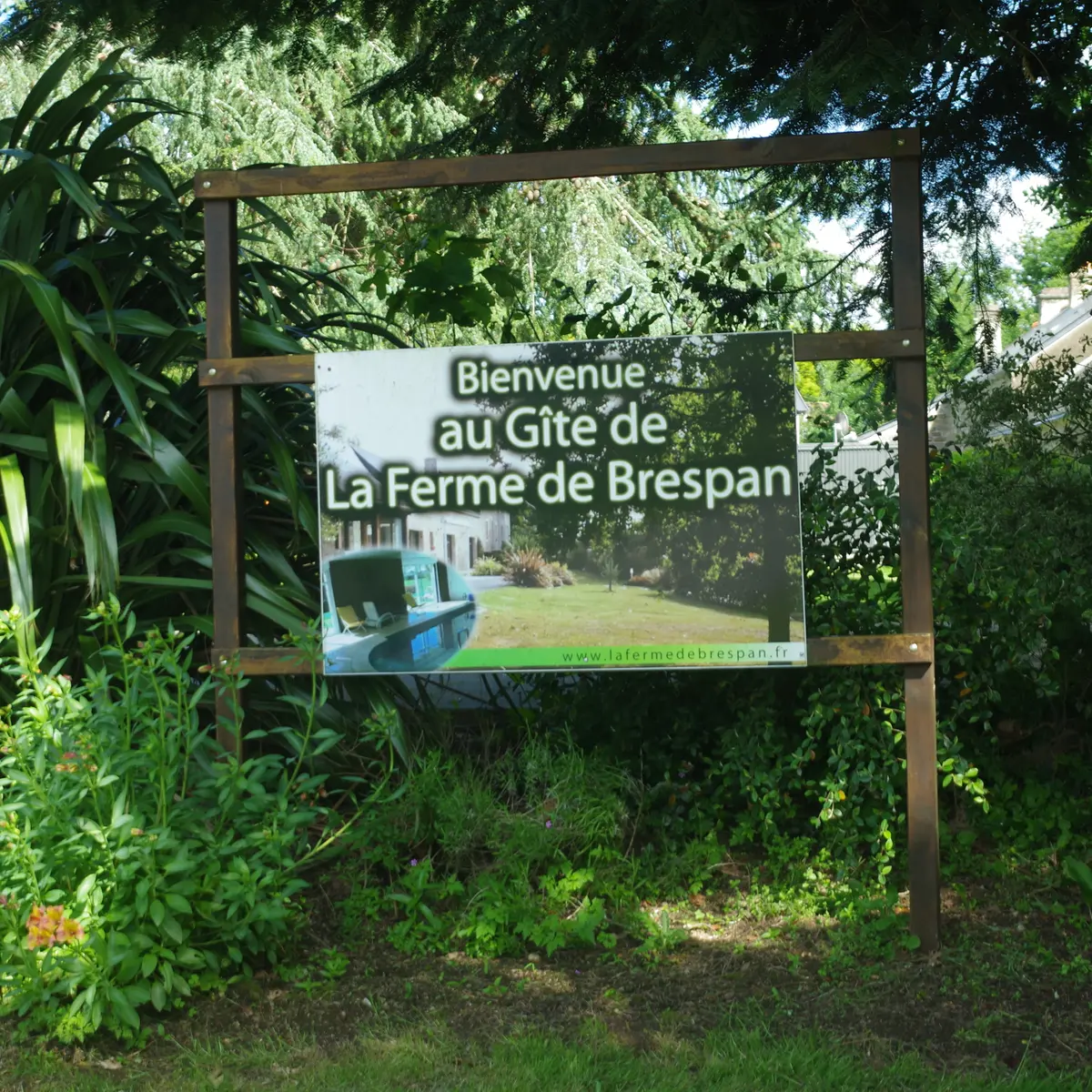 056MS000462_Rival_IMGP1319