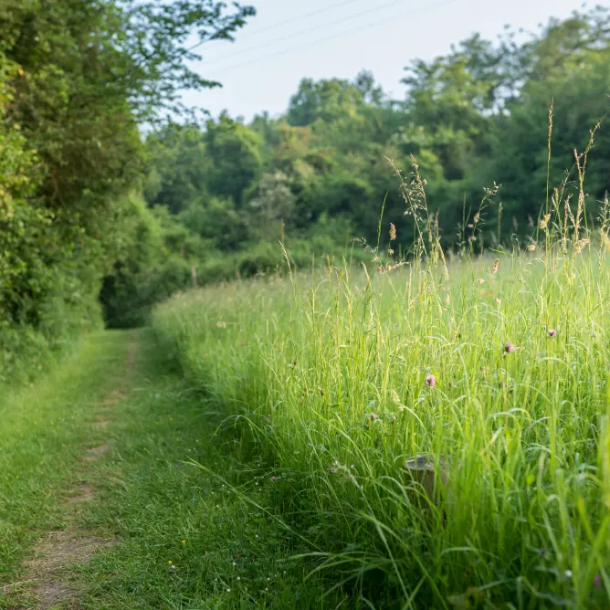1. Le site de Lormandière_E.Berthier