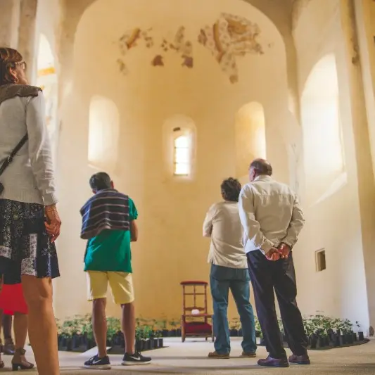 Visite guidée en groupe