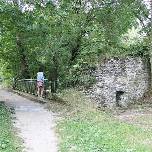Le site naturel de Pasdavy à Servon-sur-Vilaine