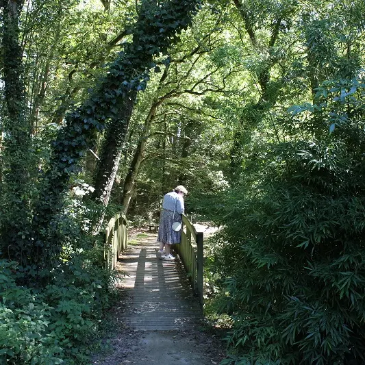 La Vallée du Rimon à Domloup