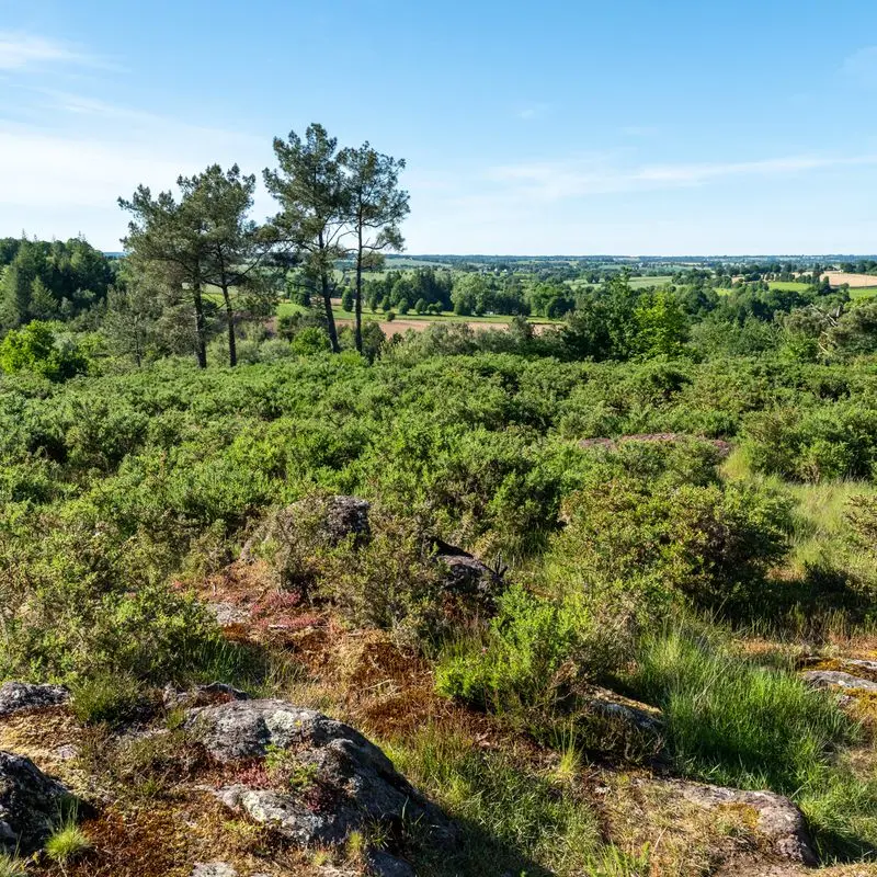 Carrière de la Marette