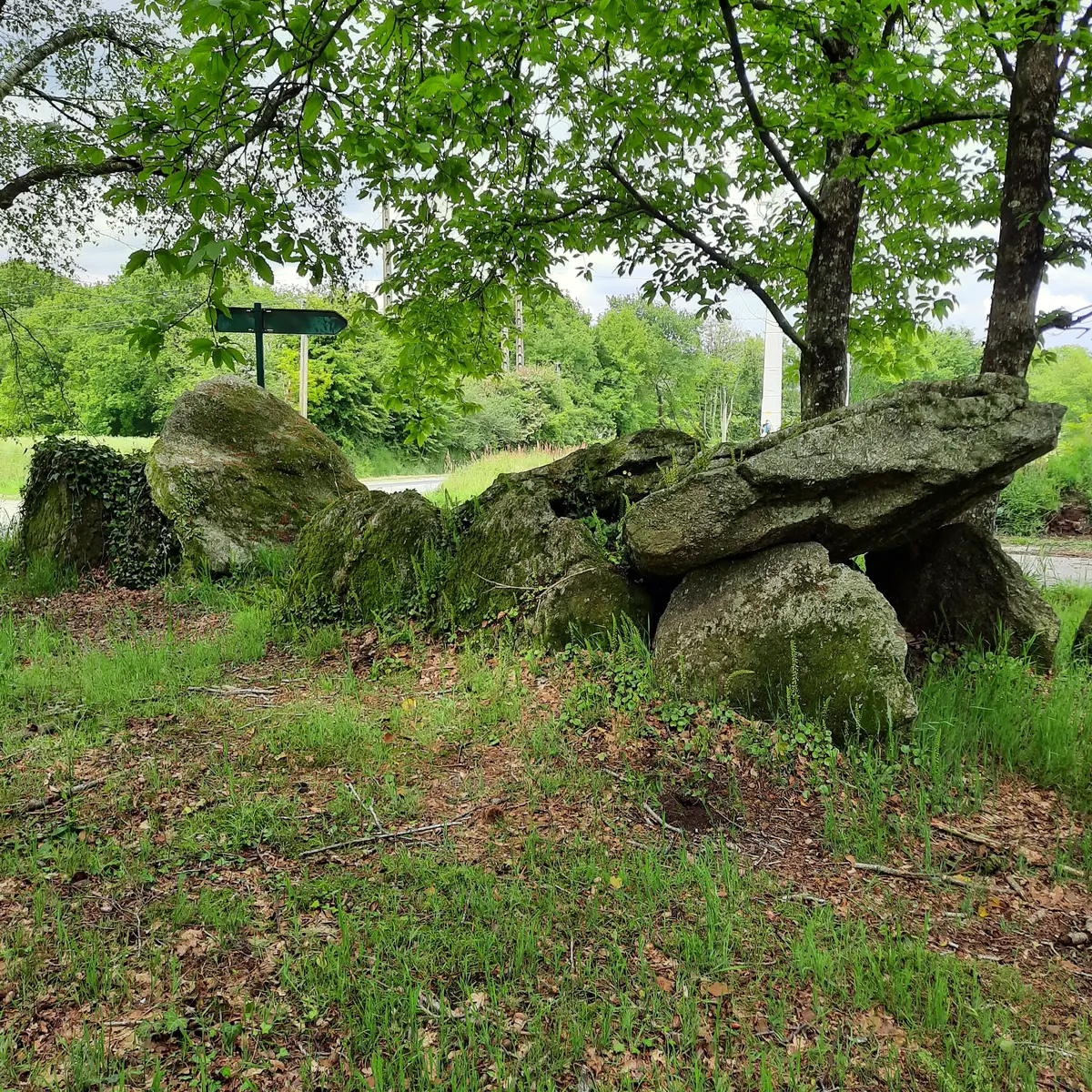 2021_dolmen-kergonfalz-bignan (7)
