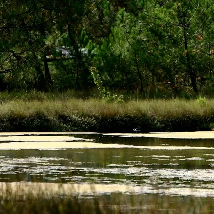 Pen en Toul Larmor-Baden Morbihan Bretagne Sud