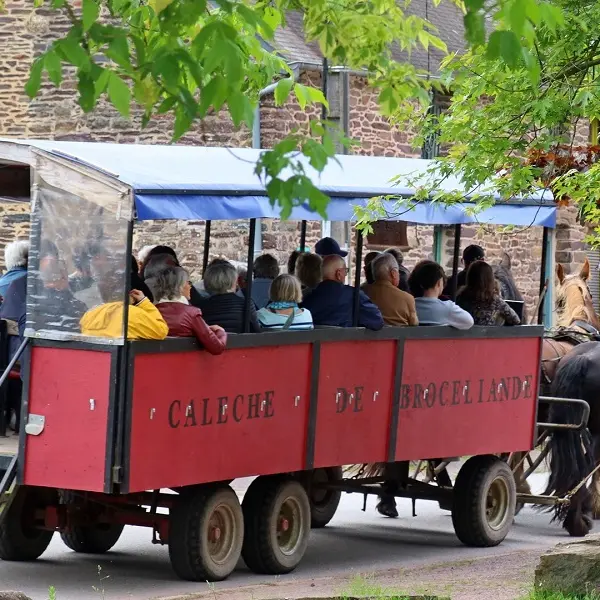 Calèche_de_Brocéliande_balade_contes_Tréhorenteuc_DestinationBrocéliande4