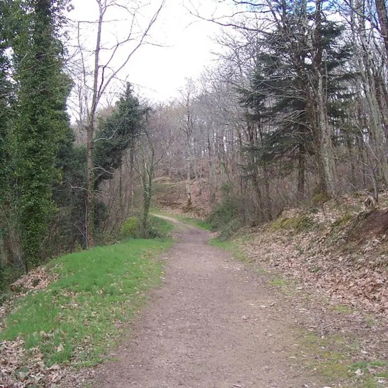 Bois de Kermen - Lanester - Morbihan Bretagne sud