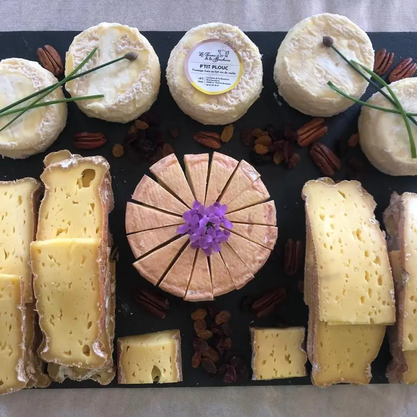 350524275_772428864587390_3322190208460072963_n