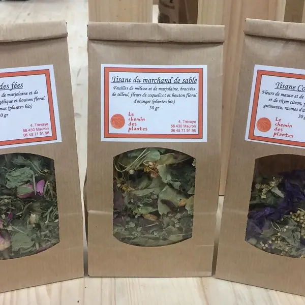 lechemindesplantes_tisanes_producteurlocal_Mauron_DestinationBroceliande