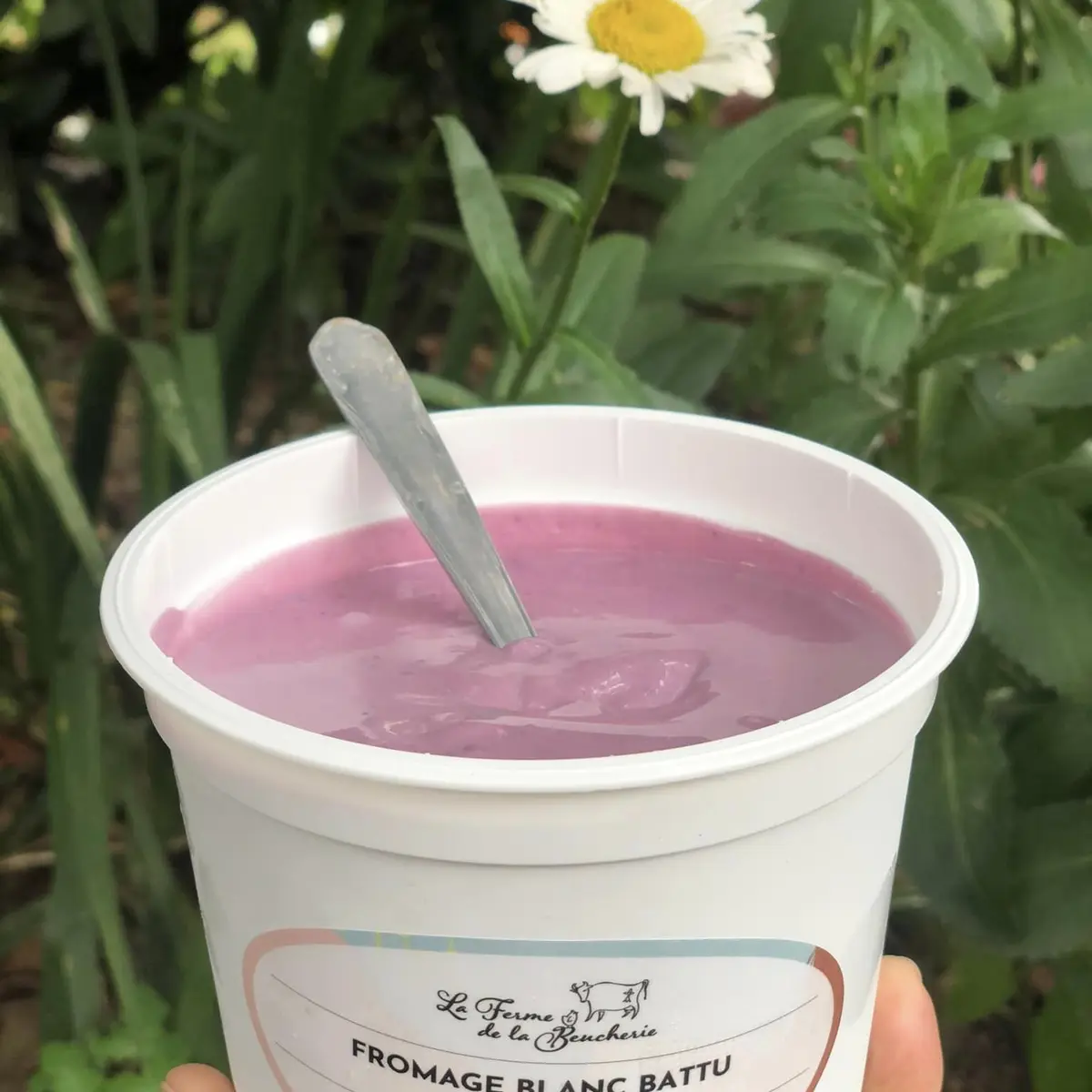 358647486_1007235706955113_4873981978823404177_n