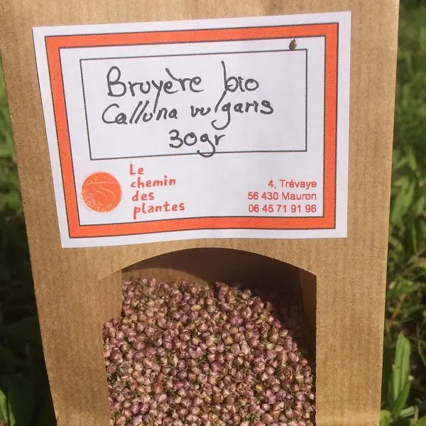 lechemindesplantes_tisanes3_producteurlocal_Mauron_DestinationBroceliande