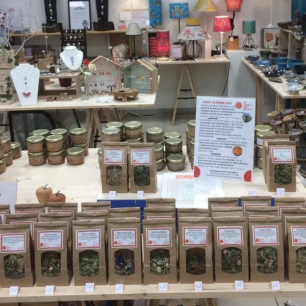 lechemindesplantes_tisanes2_producteurlocal_Mauron_DestinationBroceliande