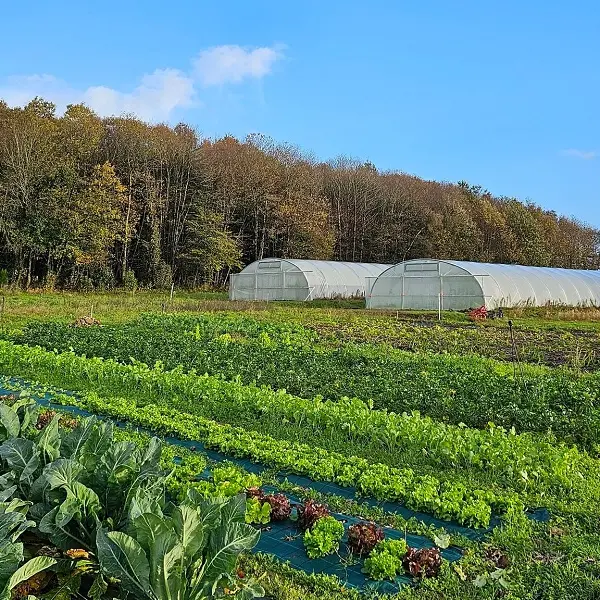 maraichage_bio_ferme_coetbily_meneac_DestinationBroceliande