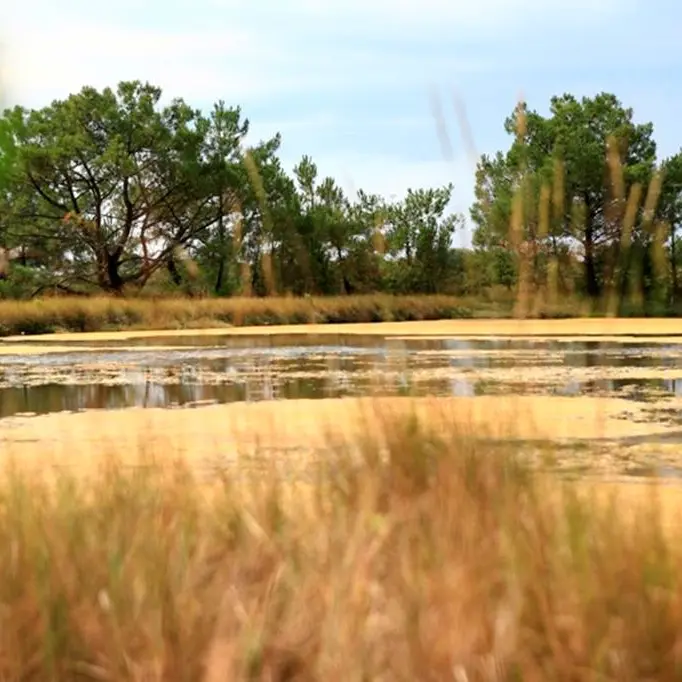 Pen en Toul Larmor-Baden Morbihan Bretagne Sud