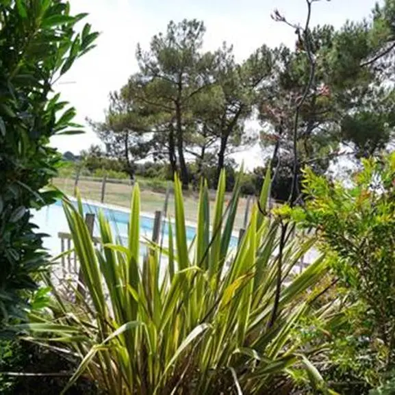 LesSalinesPlouharnel4