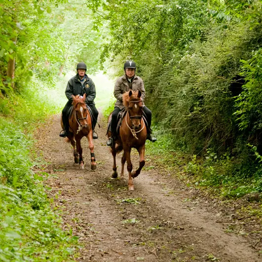 Centre équestre et poney club de Hac à Saint-Gondran